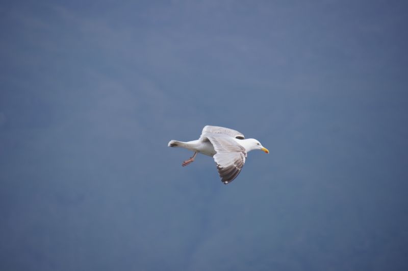 Viewing photos→2014→2014-05-31→056