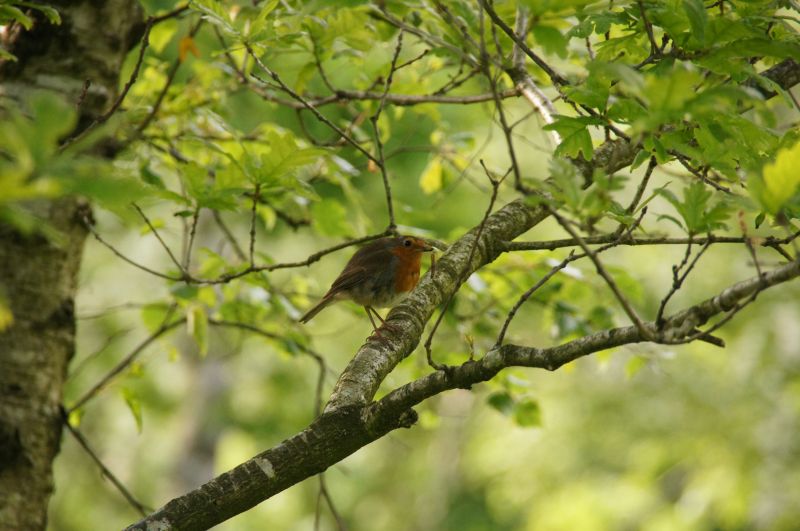 Viewing photos→2014→2014-05-31→087