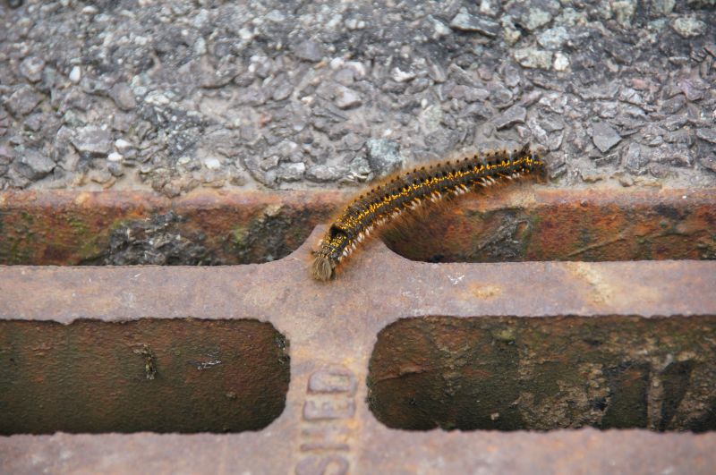 Viewing photos→2014→2014-05-31→098