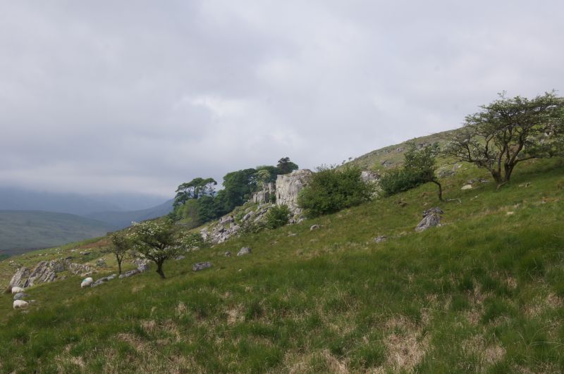 Viewing photos→2014→2014-05-31→109