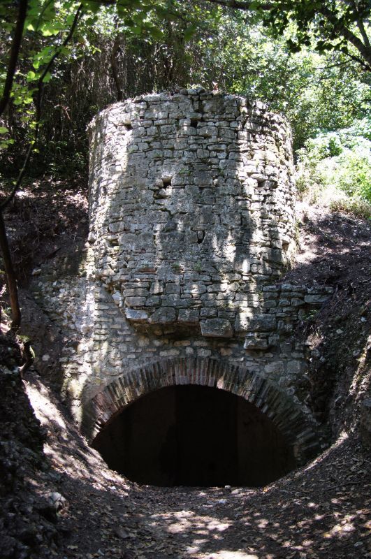 Viewing photos→2014→2014-06-11→09