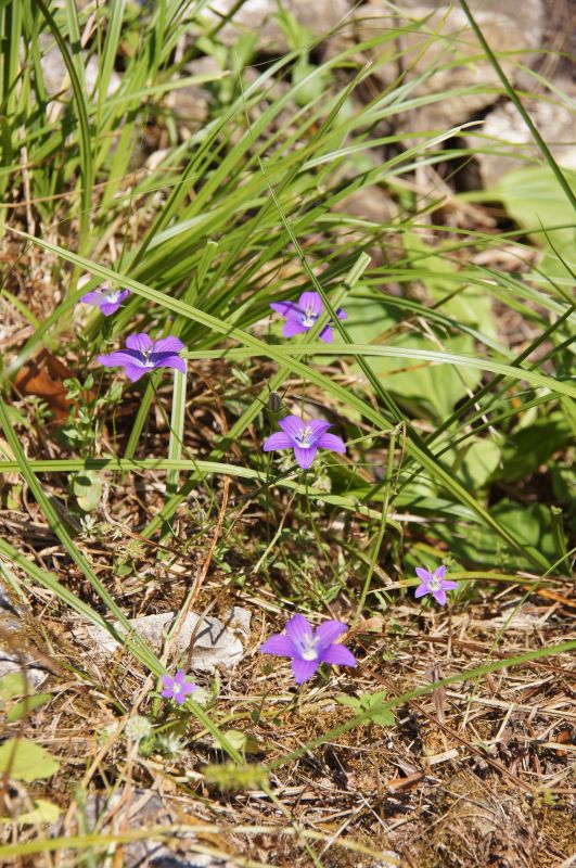 Viewing photos→2014→2014-06-11→11