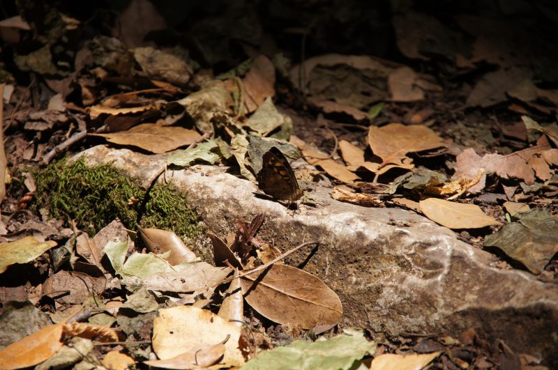 Viewing photos→2014→2014-06-11→28