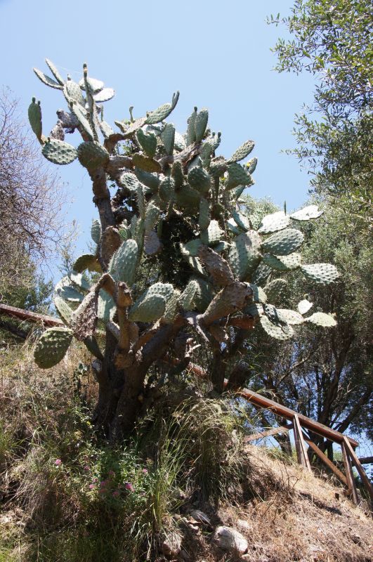 Viewing photos→2014→2014-06-11→39