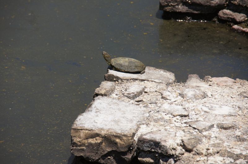 Viewing photos→2014→2014-06-11→44