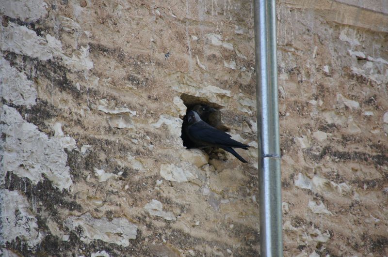 Viewing photos→2014→2014-06-12→31