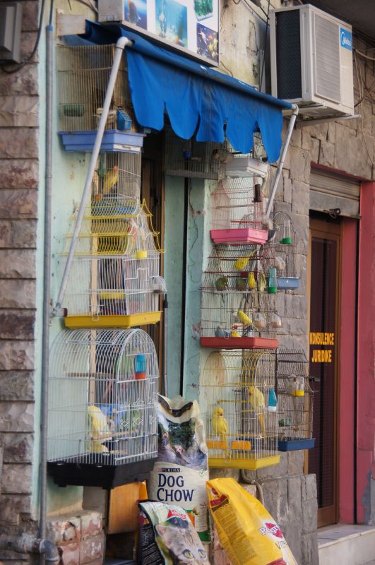 Viewing photos→2014→2014-06-13→32