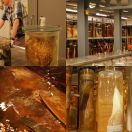 2014-07-01<br/>
<b>Natural History Museum Tank Room</b>

