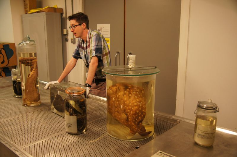 Viewing photos→2014→2014-07-01→01