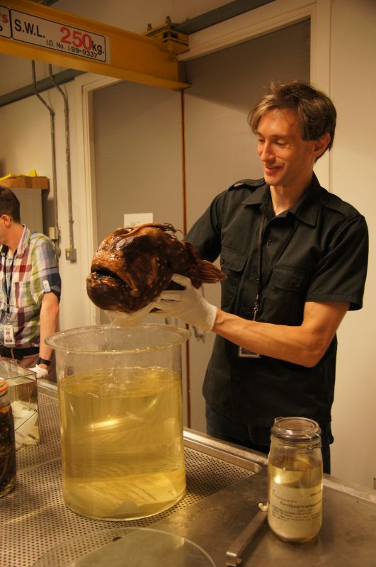 Viewing photos→2014→2014-07-01→04