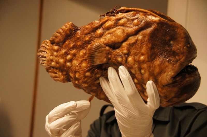 Viewing photos→2014→2014-07-01→09