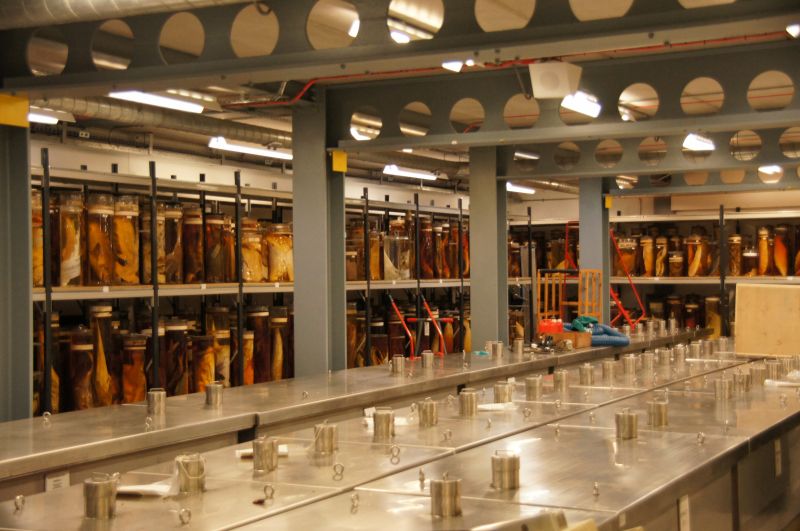 Viewing photos→2014→2014-07-01→11