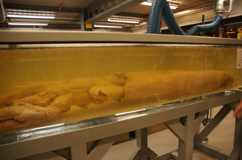 Viewing photos→2014→2014-07-01→14