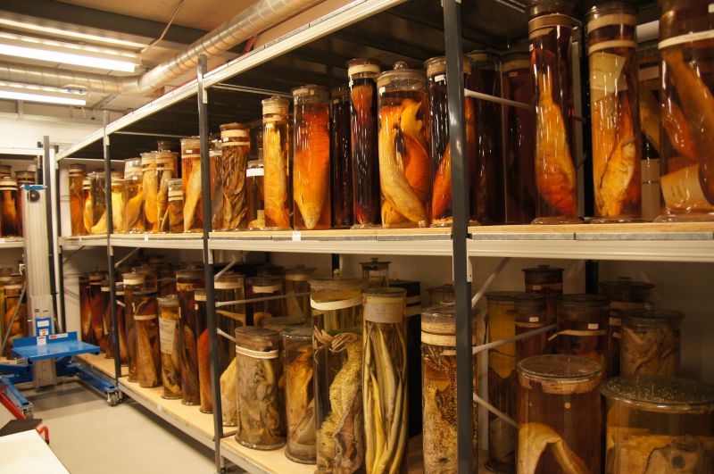 Viewing photos→2014→2014-07-01→15