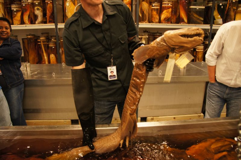 Viewing photos→2014→2014-07-01→19