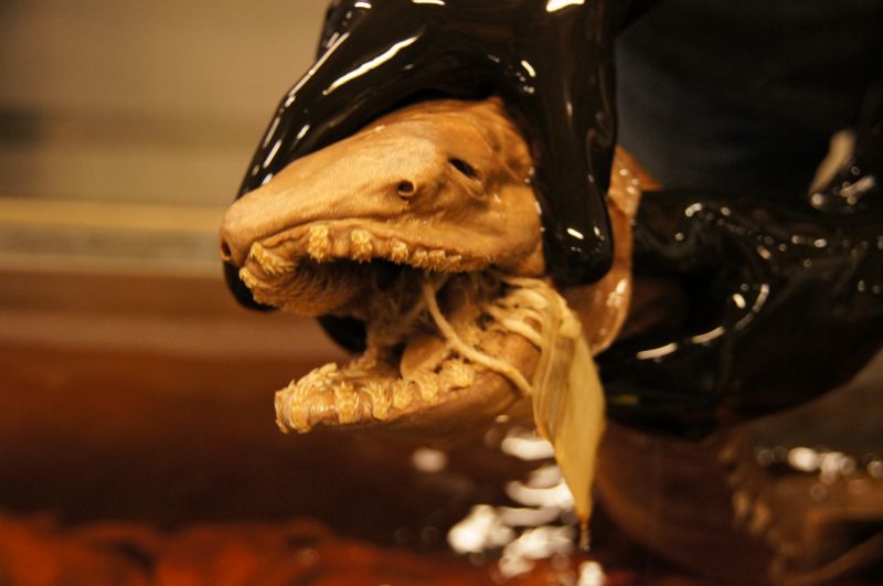 Viewing photos→2014→2014-07-01→20