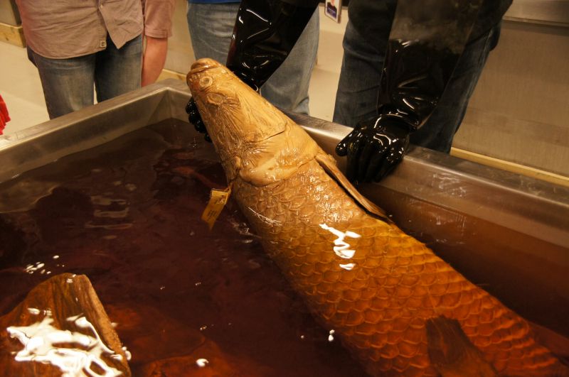 Viewing photos→2014→2014-07-01→24