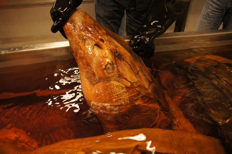 Viewing photos→2014→2014-07-01→25