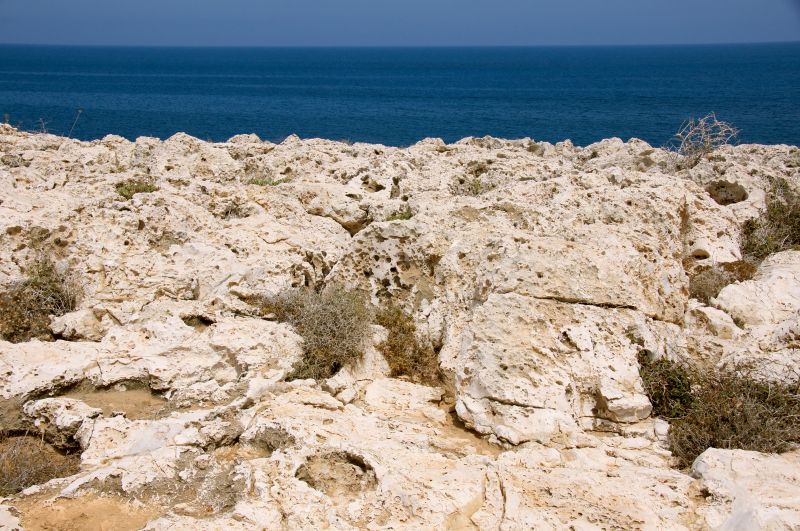 Viewing photos→2014→2014-07-07→014