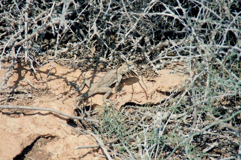 Viewing photos→2014→2014-07-07→019