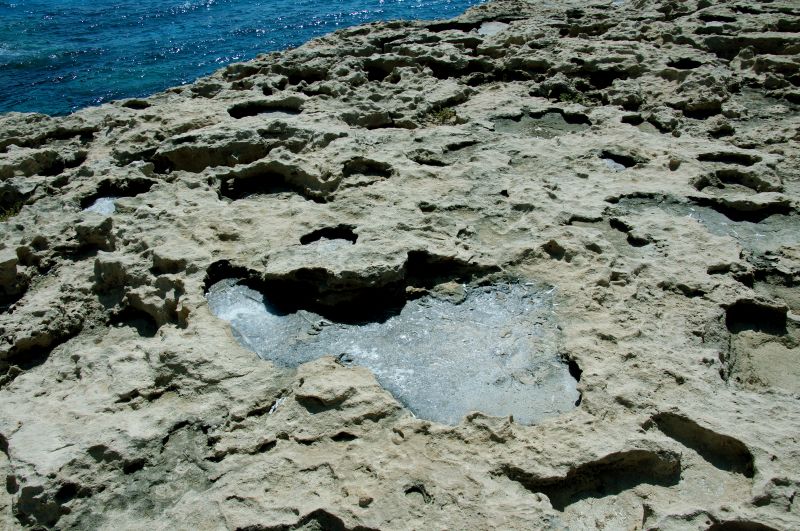 Viewing photos→2014→2014-07-07→025