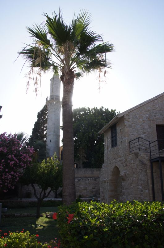 Viewing photos→2014→2014-07-07→035