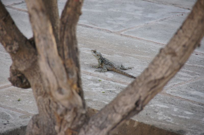 Viewing photos→2014→2014-07-07→036