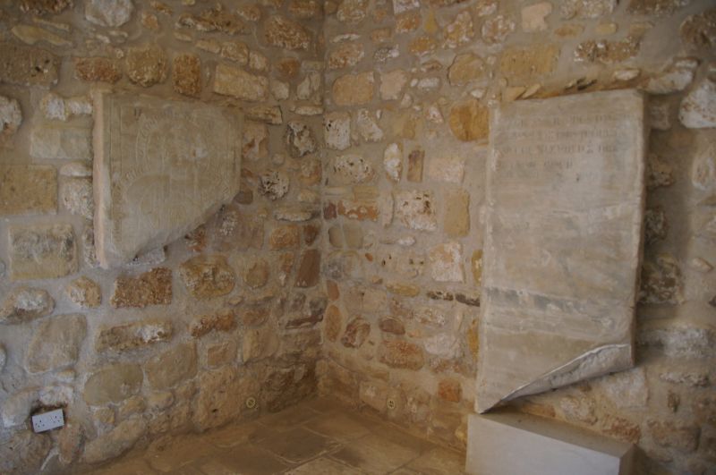 Viewing photos→2014→2014-07-07→040