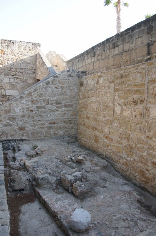 Viewing photos→2014→2014-07-07→045