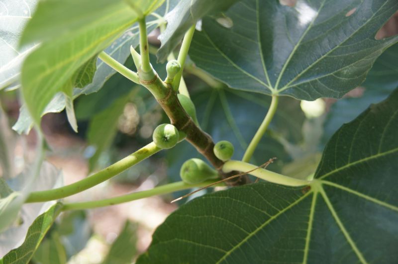 Viewing photos→2014→2014-07-07→081