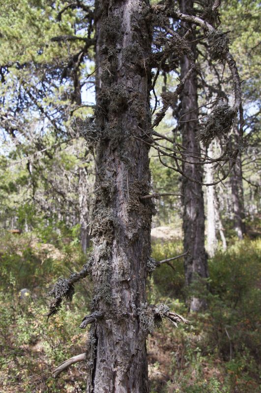 Viewing photos→2014→2014-07-07→122