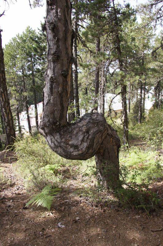 Viewing photos→2014→2014-07-07→123