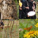 2014-07-20<br/>
<b>Wakehurst Place</b>
