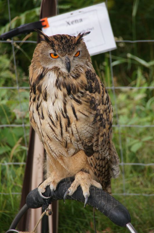 Viewing photos→2014→2014-07-20→01