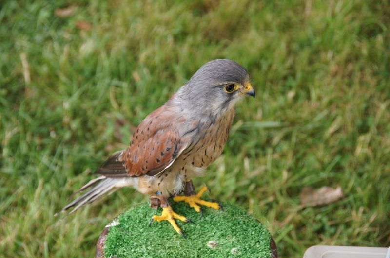 Viewing photos→2014→2014-07-20→04