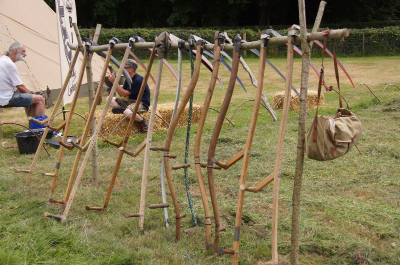 Viewing photos→2014→2014-07-20→14