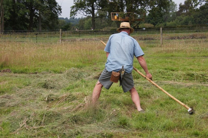 Viewing photos→2014→2014-07-20→15