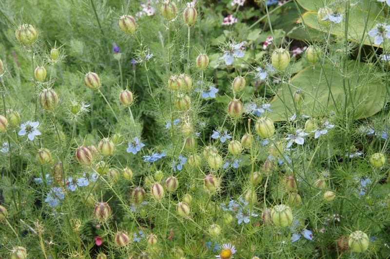 Viewing photos→2014→2014-07-20→25