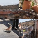 2014-08-31 - 2014-09-13<br/>
<b>Tbilisi, Georgia (თბილისი)</b>
