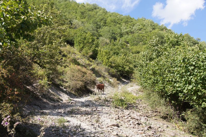 Viewing photos→2014→2014-09-02→043