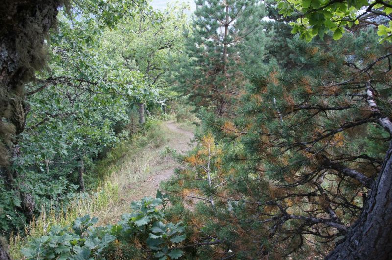 Viewing photos→2014→2014-09-02→059