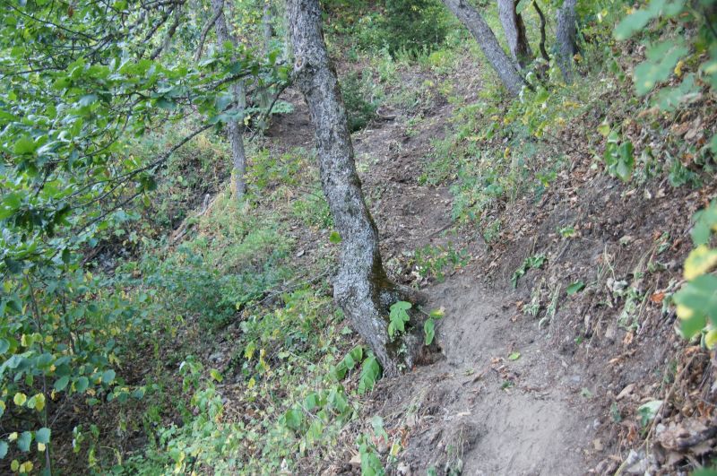 Viewing photos→2014→2014-09-02→061