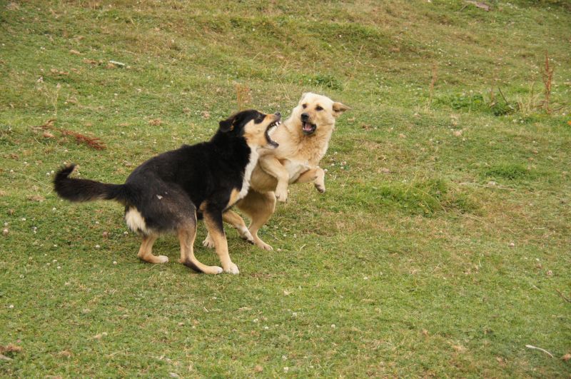 Viewing photos→2014→2014-09-02→089