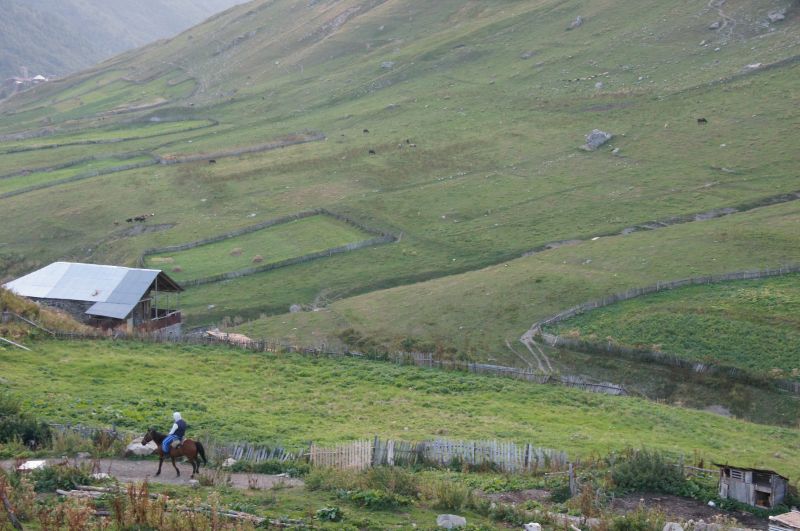 Viewing photos→2014→2014-09-02→106