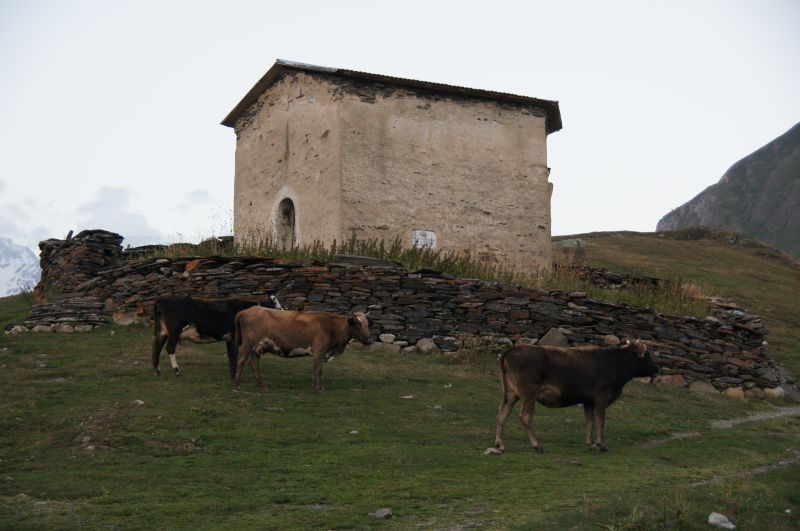 Viewing photos→2014→2014-09-02→107