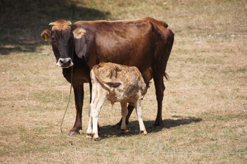 Viewing photos→2014→2014-09-05→01