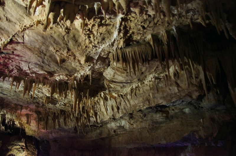 Viewing photos→2014→2014-09-06→05