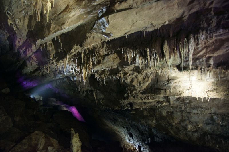 Viewing photos→2014→2014-09-06→10