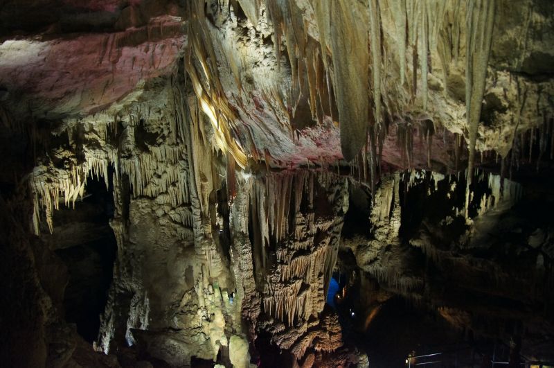 Viewing photos→2014→2014-09-06→36