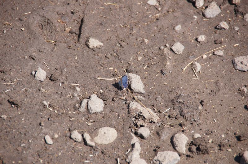 Viewing photos→2014→2014-09-07→05